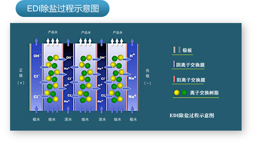 电去离子装置(EDI)